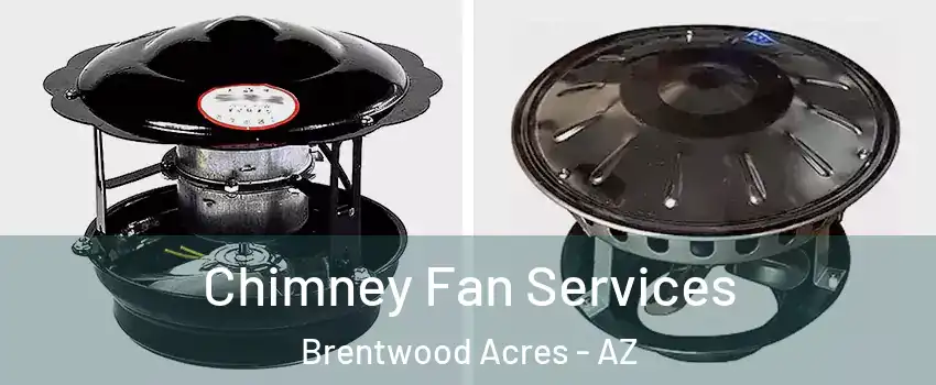 Chimney Fan Services Brentwood Acres - AZ