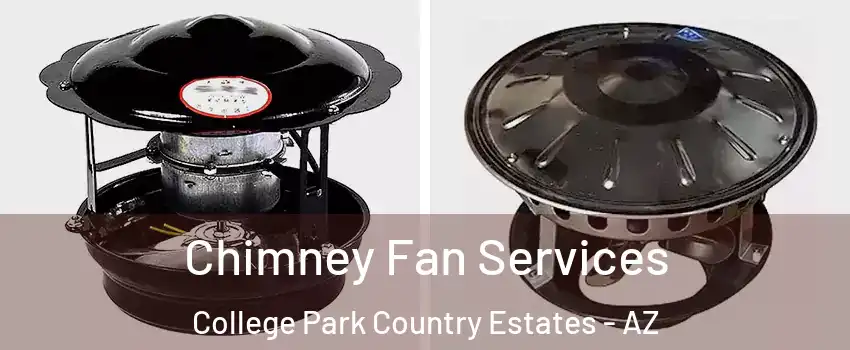 Chimney Fan Services College Park Country Estates - AZ