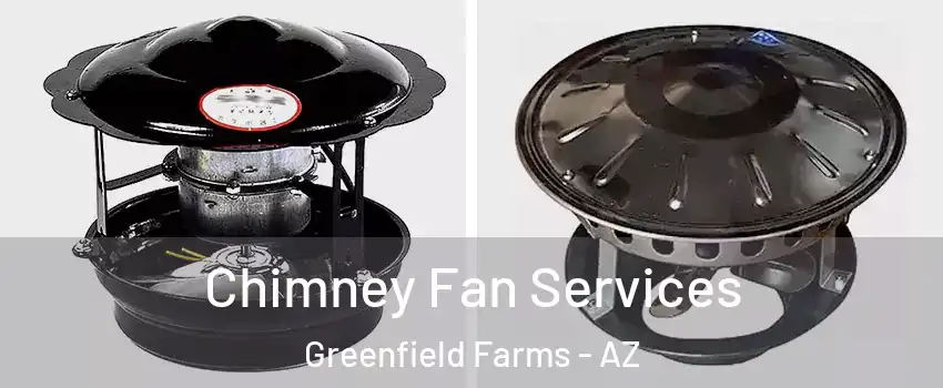 Chimney Fan Services Greenfield Farms - AZ