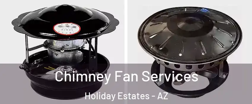 Chimney Fan Services Holiday Estates - AZ
