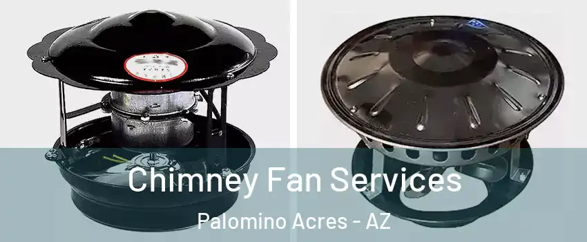 Chimney Fan Services Palomino Acres - AZ