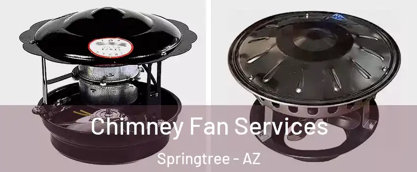 Chimney Fan Services Springtree - AZ
