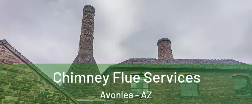 Chimney Flue Services Avonlea - AZ