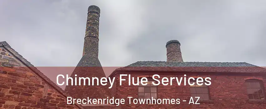Chimney Flue Services Breckenridge Townhomes - AZ