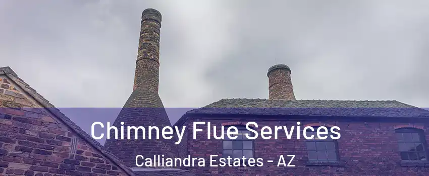 Chimney Flue Services Calliandra Estates - AZ