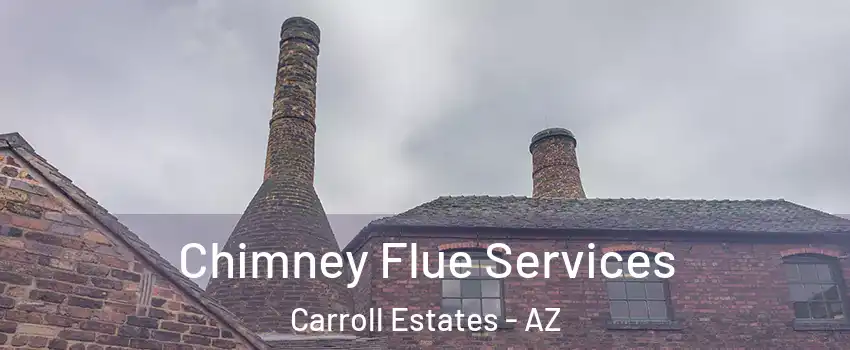 Chimney Flue Services Carroll Estates - AZ
