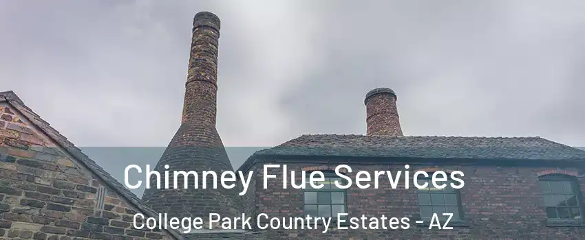Chimney Flue Services College Park Country Estates - AZ