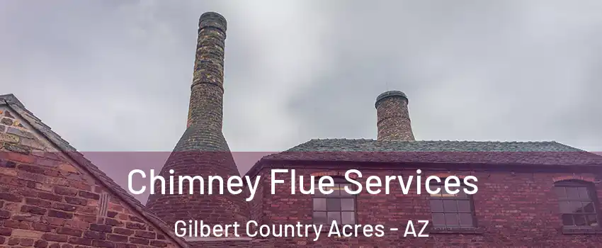 Chimney Flue Services Gilbert Country Acres - AZ