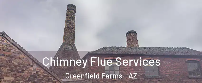 Chimney Flue Services Greenfield Farms - AZ