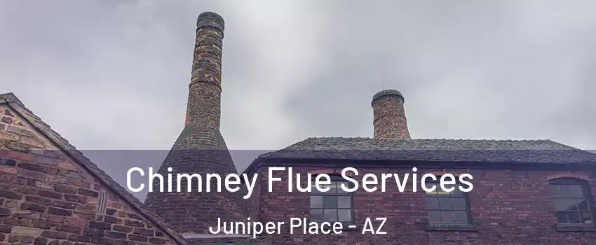 Chimney Flue Services Juniper Place - AZ