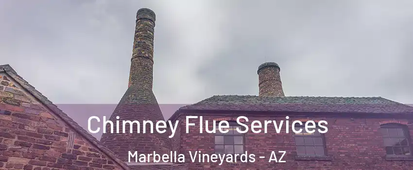 Chimney Flue Services Marbella Vineyards - AZ