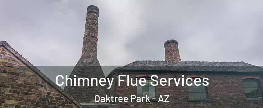 Chimney Flue Services Oaktree Park - AZ