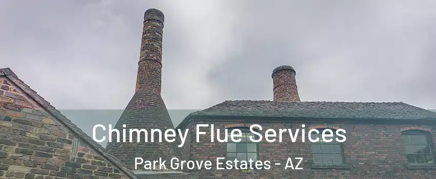 Chimney Flue Services Park Grove Estates - AZ