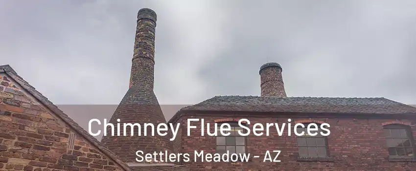Chimney Flue Services Settlers Meadow - AZ