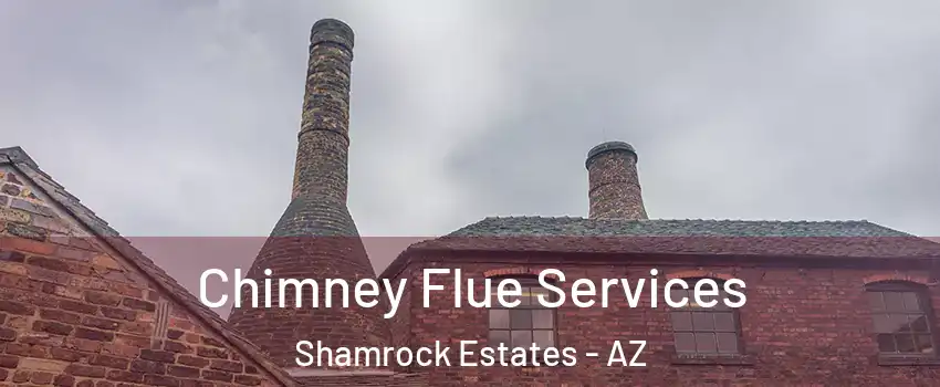 Chimney Flue Services Shamrock Estates - AZ