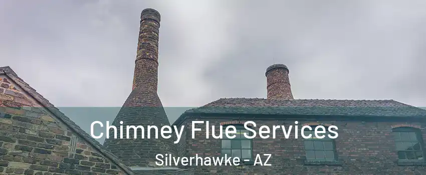 Chimney Flue Services Silverhawke - AZ