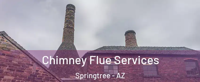 Chimney Flue Services Springtree - AZ