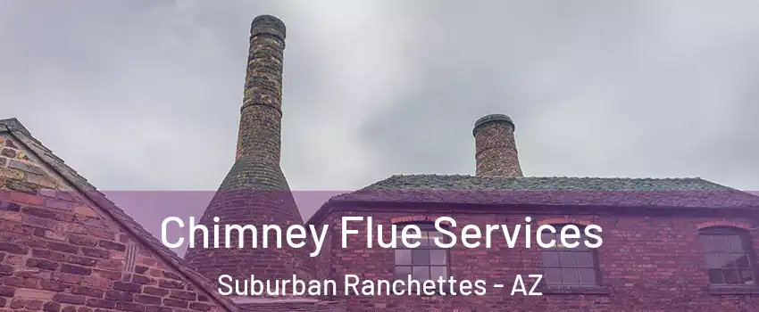 Chimney Flue Services Suburban Ranchettes - AZ