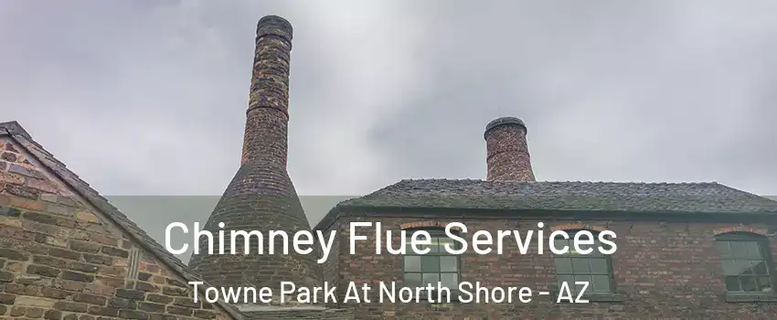Chimney Flue Services Towne Park At North Shore - AZ