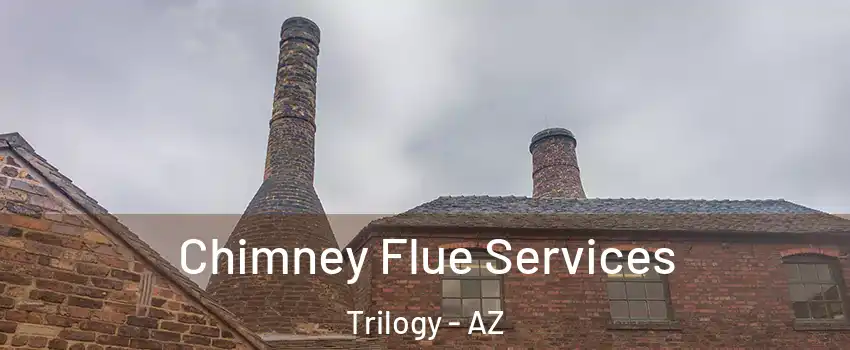 Chimney Flue Services Trilogy - AZ