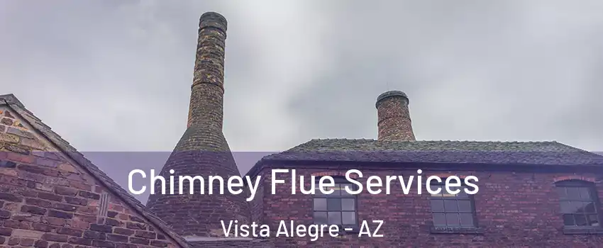 Chimney Flue Services Vista Alegre - AZ