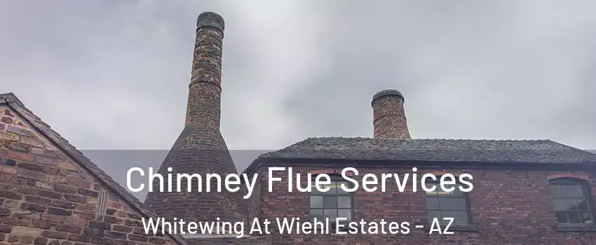 Chimney Flue Services Whitewing At Wiehl Estates - AZ