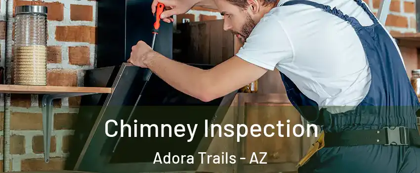 Chimney Inspection Adora Trails - AZ