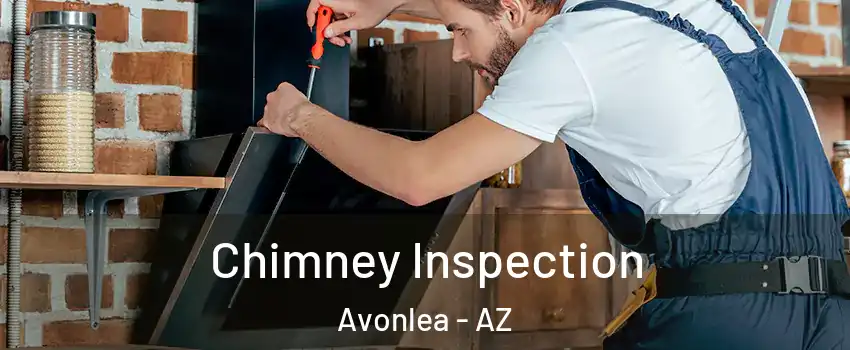 Chimney Inspection Avonlea - AZ