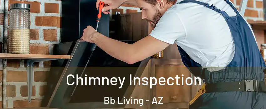 Chimney Inspection Bb Living - AZ