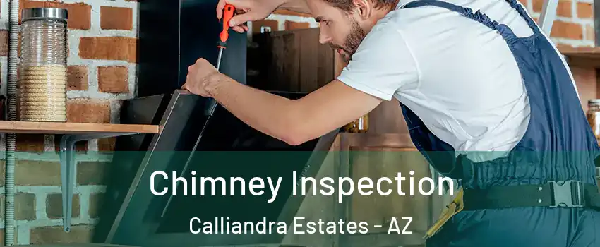 Chimney Inspection Calliandra Estates - AZ