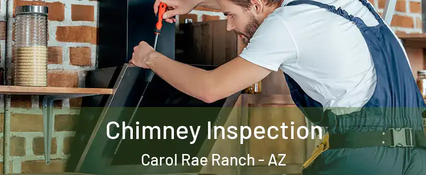Chimney Inspection Carol Rae Ranch - AZ