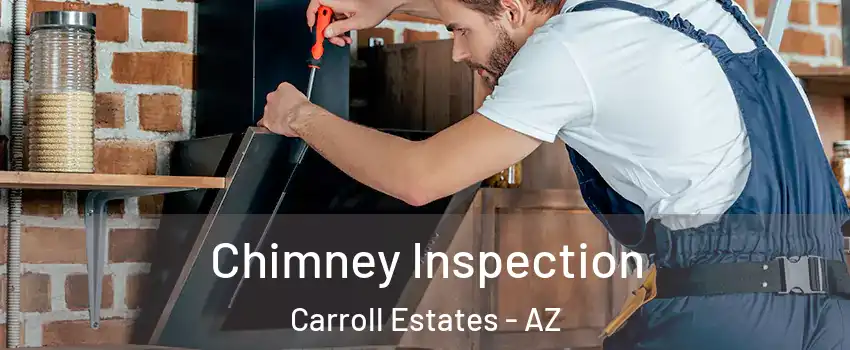 Chimney Inspection Carroll Estates - AZ