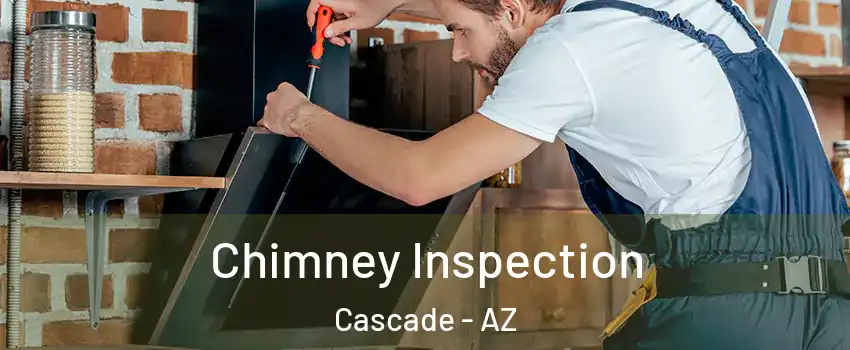 Chimney Inspection Cascade - AZ