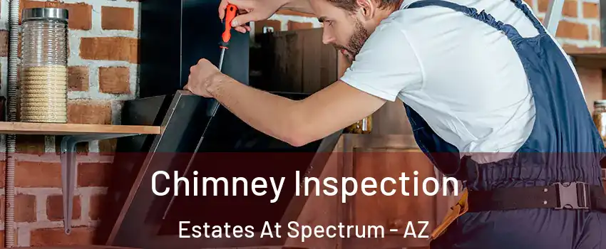 Chimney Inspection Estates At Spectrum - AZ