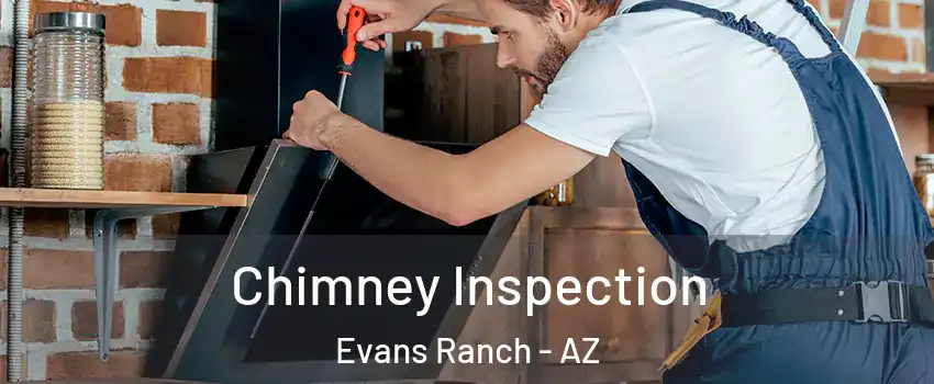 Chimney Inspection Evans Ranch - AZ