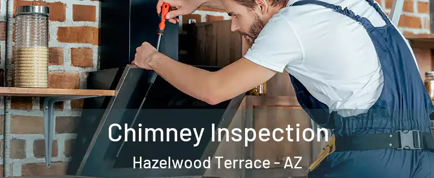 Chimney Inspection Hazelwood Terrace - AZ