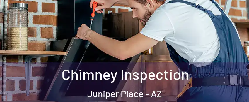 Chimney Inspection Juniper Place - AZ