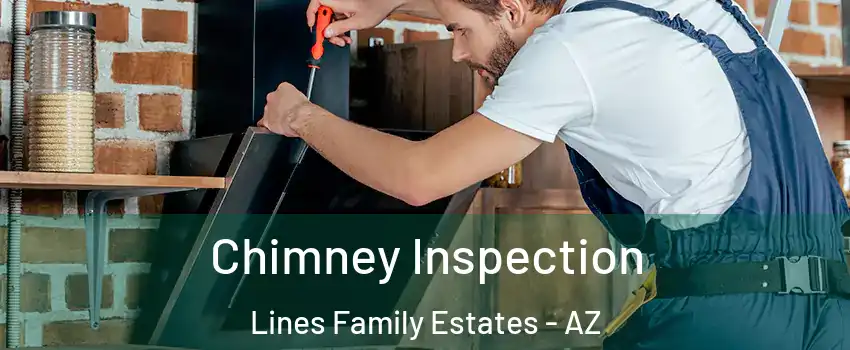 Chimney Inspection Lines Family Estates - AZ