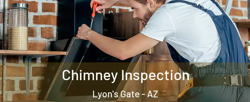 Chimney Inspection Lyon's Gate - AZ