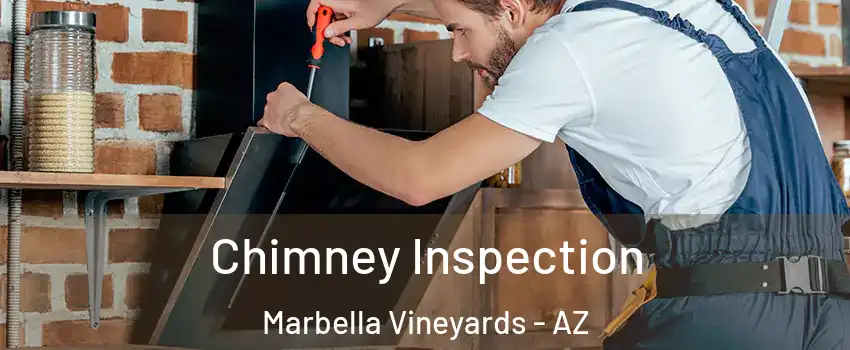 Chimney Inspection Marbella Vineyards - AZ