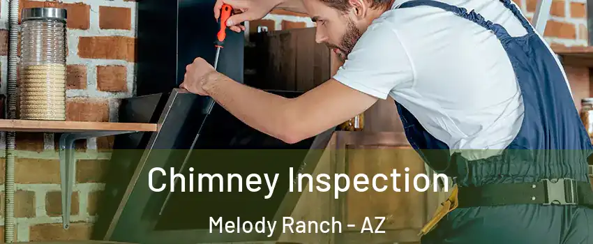 Chimney Inspection Melody Ranch - AZ