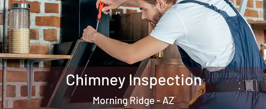 Chimney Inspection Morning Ridge - AZ