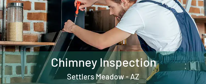 Chimney Inspection Settlers Meadow - AZ