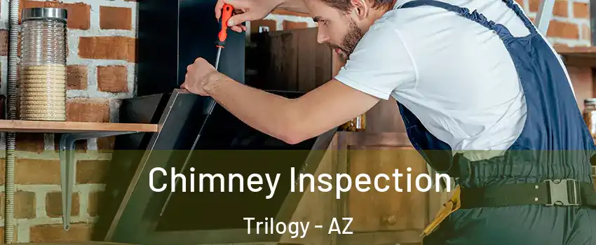 Chimney Inspection Trilogy - AZ