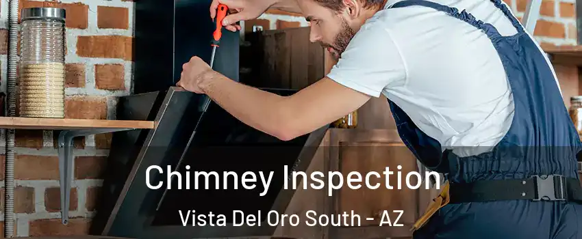 Chimney Inspection Vista Del Oro South - AZ
