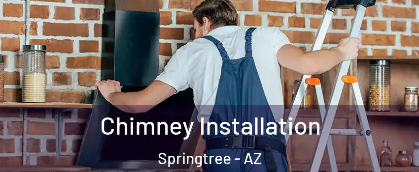 Chimney Installation Springtree - AZ