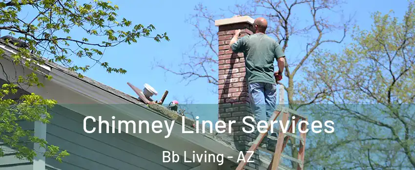 Chimney Liner Services Bb Living - AZ