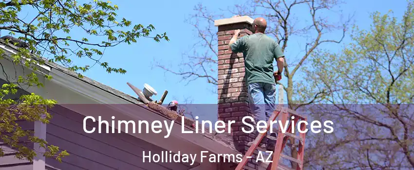 Chimney Liner Services Holliday Farms - AZ