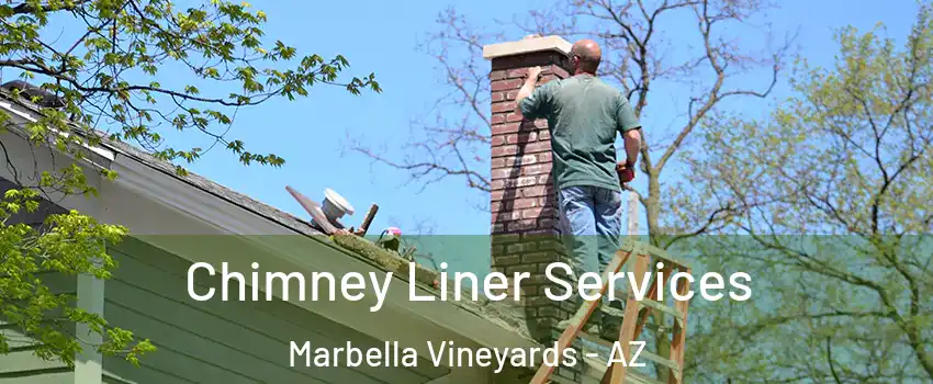 Chimney Liner Services Marbella Vineyards - AZ