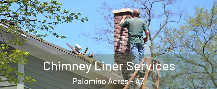 Chimney Liner Services Palomino Acres - AZ